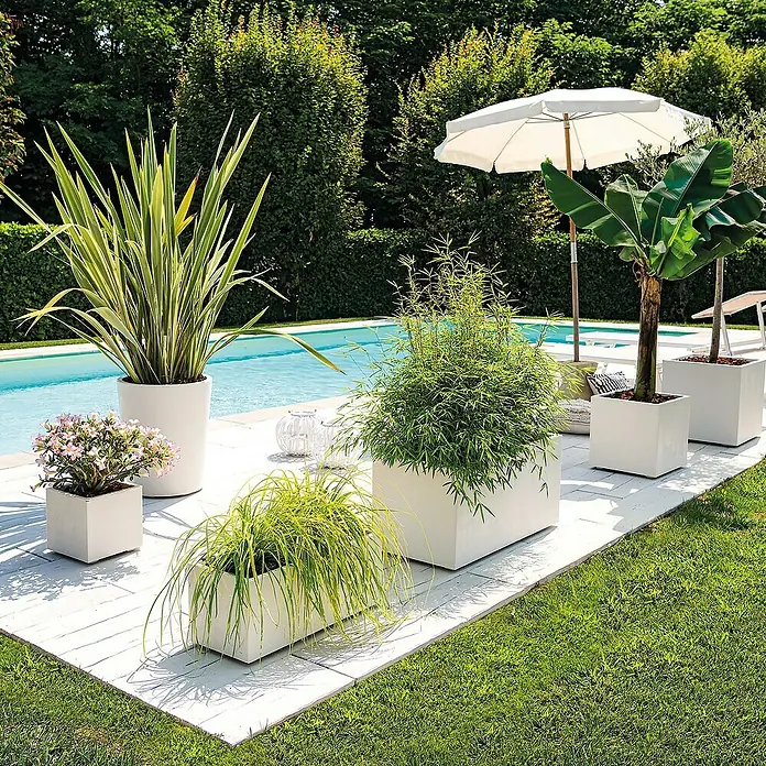 Deroma Millennium Maceta para planta - 39 x 39 x 39 cm, Plástico, Perla - Varias plantas en macetas blancas decoran una zona de piscina, creando un diseño de jardín moderno.