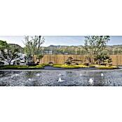 Gardol Sichtschutzmatte (3 x 0,9 m, Bambus, Natur) | BAUHAUS