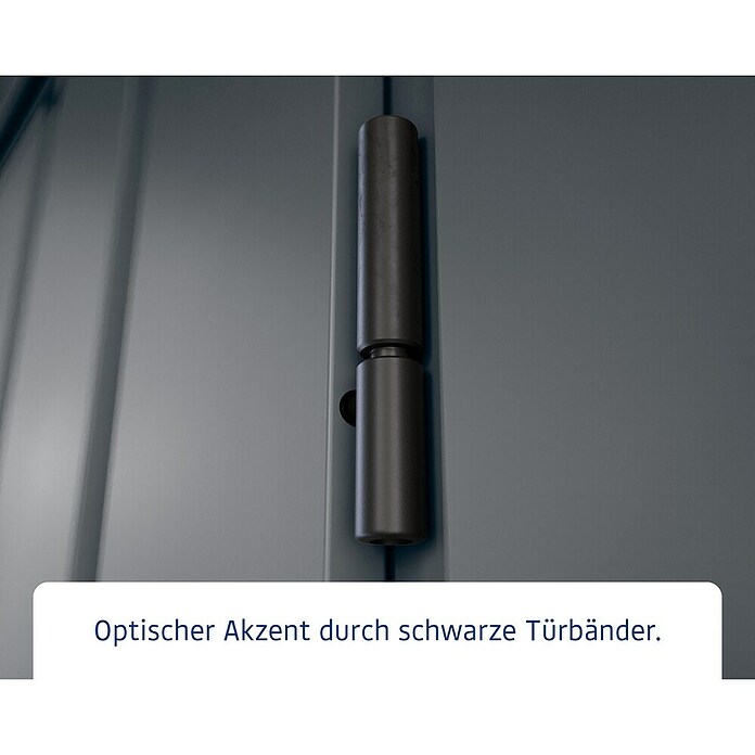 EcoStar Gerätehaus Euroline Trend EFD6 (Außenbreite inkl. Dachüberstand: 237 cm, Außentiefe inkl. Dachüberstand: 278 cm, Stahl, Anthrazitgrau, Doppeltür) | BAUHAUS