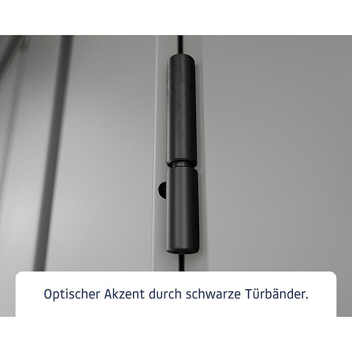 EcoStar Gerätehaus Euroline Trend ESD4 (Außenbreite inkl. Dachüberstand: 237 cm, Außentiefe inkl. Dachüberstand: 181 cm, Stahl, Graualuminium, Einzeltür) | BAUHAUS