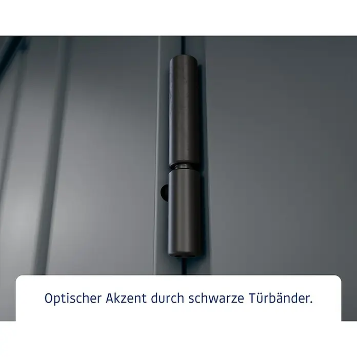 EcoStar Gerätehaus Euroline Trend EFD14 - Außenbreite inkl. Dachüberstand: 333 cm, Außentiefe inkl. Dachüberstand: 325 cm, Stahl, Anthrazitgrau, Einzeltür - Detailaufnahme eines schwarzen Türbandes an einer dunkelgrauen Tür.