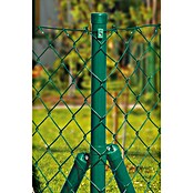 Floraworld Zaunstrebe (Länge: 150 cm, Durchmesser: 34 mm, Moosgrün) | BAUHAUS