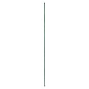 Floraworld Geflechtspannstab (Länge: 130 cm, Durchmesser: 6 mm, Moosgrün) | BAUHAUS
