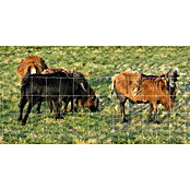 Floraworld Knotengeflecht (L x H: 50 m x 100 cm, Draht, Silber) | BAUHAUS