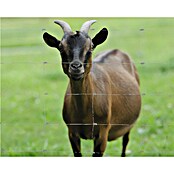 Floraworld Knotengeflecht (L x H: 50 m x 100 cm, Draht, Silber) | BAUHAUS