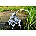 Heissner Wasserspeier Froschpaar 