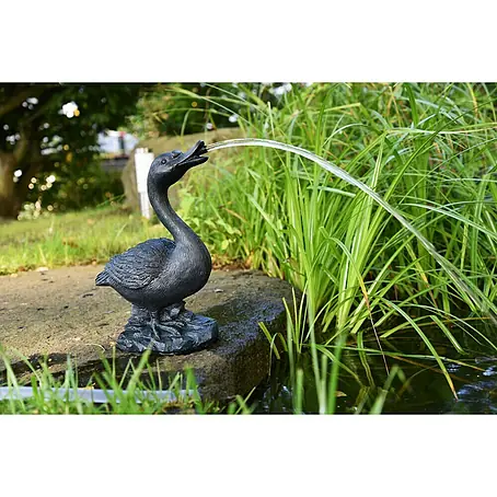 Heissner  Wasserspeier Gans