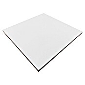 Revestimiento de pared Blanco brillo (20 x 20 cm, Blanco, Brillante) | BAUHAUS