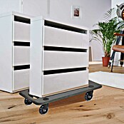 Wagner System Transportroller MM1611 (l x b x h: 59 x 29 x 11 cm, Draagkracht: 250 kg, Hout) | BAUHAUS
