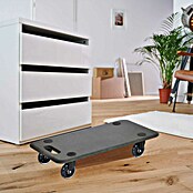Wagner System Voziček za transport MM 1611  (Do x Š x V: 59 x 29 x 11 cm, Nosilnost izdelka: 250 kg, Les) | 1181 - Transporthilfen | AAED - Rollen und Räder | AAE - Beschläge | AA - Eisenwaren | A - Eisenwaren | BAUHAUS