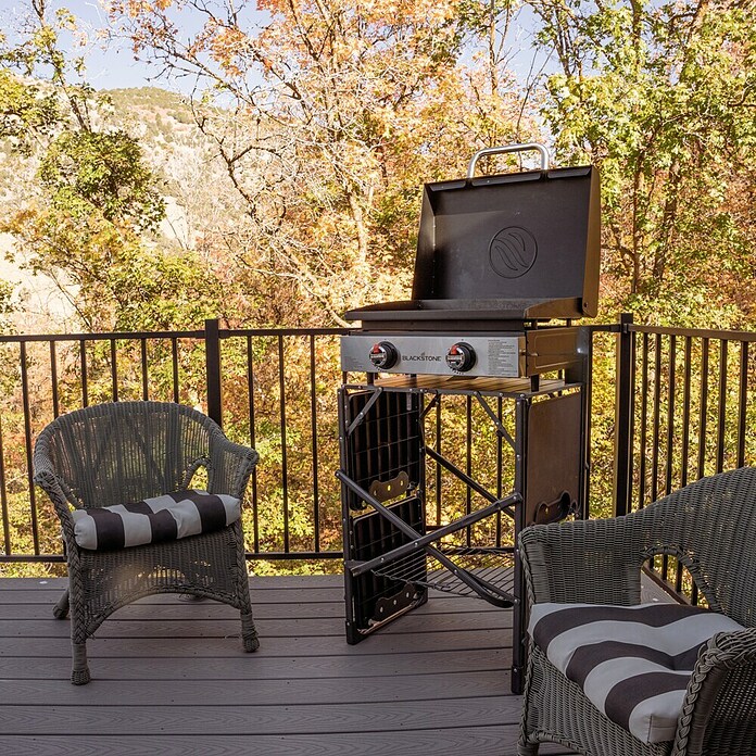 Blackstone Plancha Grill 22