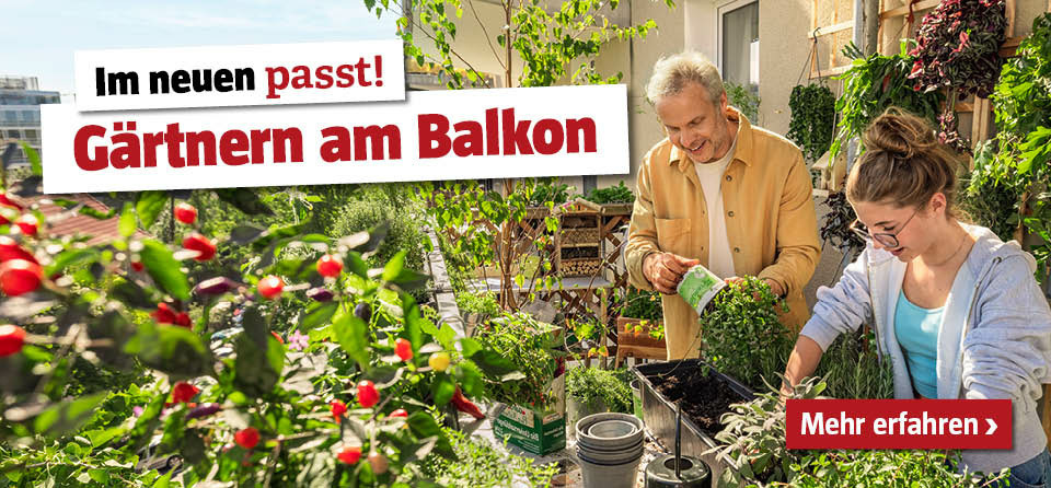 passt! Magazin 2025