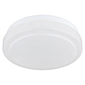 Globo Okrugla stropna LED svjetiljka Imelda  (9 W, Ø x V: 18 x 6,5 cm, Topla bijela) | BAUHAUS