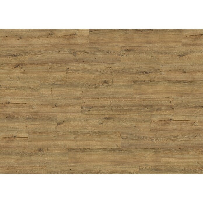 Living by Haro Hydrostar Designboden (Eiche Montana natur, Landhausdiele, 1 282 x 235 x 6,5 mm) | BAUHAUS