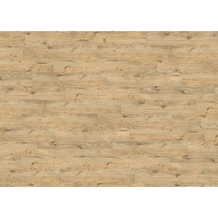 Living by Haro Hydrostar Designboden (Eiche Alba, Landhausdiele, 1 282 x 235 x 6,5 mm) | BAUHAUS