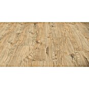 Living by Haro Hydrostar Designboden (Eiche Alba, Landhausdiele, 1 282 x 235 x 6,5 mm) | BAUHAUS