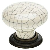 Siro Gumb za pohištvo  (Ø x V: 34 x 27 mm) | 1188 - Garderoben | AAEE - Garderoben | AAE - Beschläge | AA - Eisenwaren | A - Eisenwaren | BAUHAUS