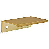 Siro Ručka za namještaj  (Tip ručke za namještaj: Školjka, D x Š x V: 70 x 40 x 20 mm, Aluminij, Pozlaćeno) | BAUHAUS