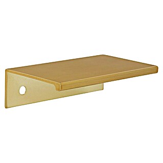 Siro Ručka za namještaj (Tip ručke za namještaj: Školjka, D x Š x V: 70 x 40 x 20 mm, Aluminij, Pozlaćeno)