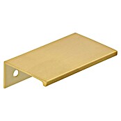 Siro Ručka za namještaj  (Tip ručke za namještaj: Školjka, D x Š x V: 70 x 40 x 20 mm, Aluminij, Pozlaćeno) | BAUHAUS