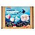 Glorex Bastel-Set Schatzsuche Atlantis 