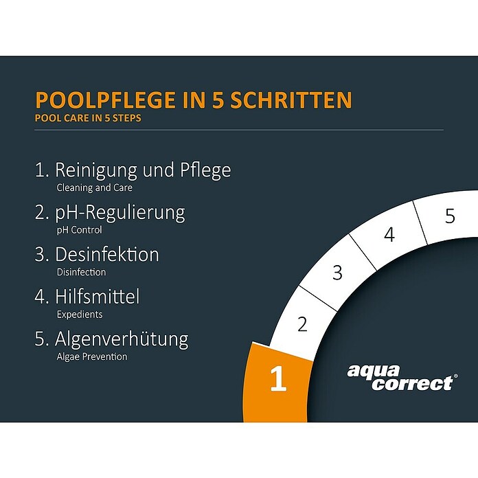 Steinbach Algenvernichter Kristallklar (1 l) | BAUHAUS