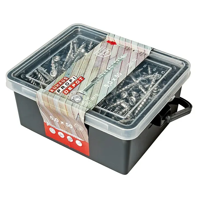 Profi Depot Terrassenschraube A2 - Edelstahl, Durchmesser: 5 mm, Länge: 50 mm, Linsenkopf, 250 Stk. - Eine quadratische Kunststoffbox mit einem transparenten Deckel, gefüllt mit silbrig glänzenden Schrauben, verpackt mit einer Banderole.