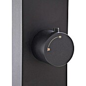 Steinbach Solardusche The Gate (Höhe: 220 cm, Aluminium, Schwarz, 30 l) | BAUHAUS