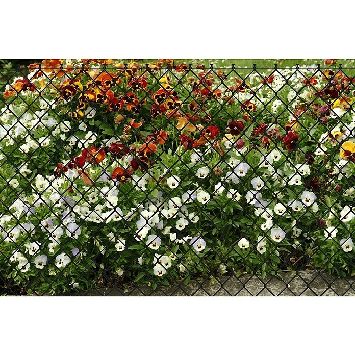 Floraworld Viereckgeflecht (L x H: 25 m x 125 cm, Anthrazit, Draht) | BAUHAUS