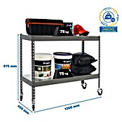 Simonrack Simontaller Metallregal Ecoforte Metall Mobil (H x B x T: 97,5 x 120 x 45 cm, Traglast pro Boden: 75 kg, Anzahl Böden: 2 Stk., Stecken, Grau, Rollen) | BAUHAUS
