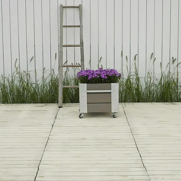 Plus Pflanzkübel eckig Cubic - 50 x 46 x 45 cm, Graubraun, Kiefer - Holzpflanzkasten mit lila Blumen auf Rädern vor weißem Zaun und Leiter. Perfekt für Garten und Terrasse.