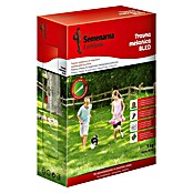 Travna semena Bled  (1 kg, 40 m²) | 8125 - Rasensamen Marke | IBYA - Sämereien | IBY - Sämereien | IB - Grünpflanzen/Sämereien | I - Stadtgarten | BAUHAUS