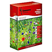 Travna semena za cvetoč travnik Rožnik  (1 kg, 30 m²) | 8125 - Rasensamen Marke | IBYA - Sämereien | IBY - Sämereien | IB - Grünpflanzen/Sämereien | I - Stadtgarten | BAUHAUS
