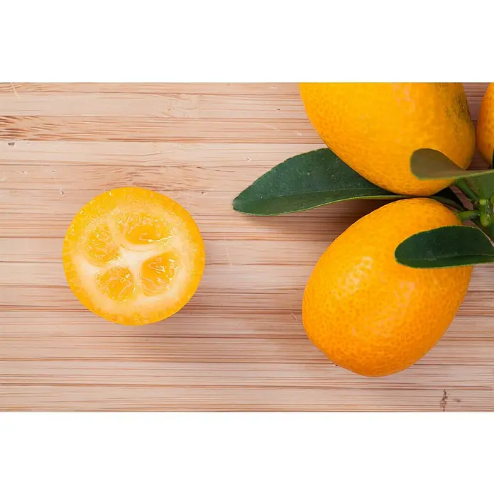 Kumquat - Citrus kumquat, Topfgröße: 20 cm - Kumquats: Eine Nahaufnahme von frischen Kumquats mit sattem Grün auf einem Holztisch, perfekt für gesunde Snacks und kulinarische Kreationen.