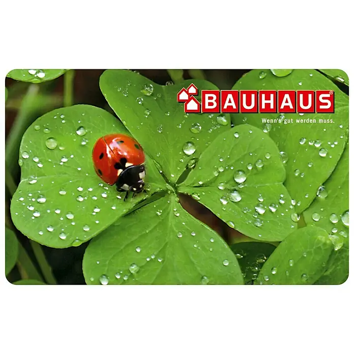 Gutscheinkarte - Per Postversand, 20 Euro, Kleeblatt - Bauhaus Fußmatte mit Kleeblatt- und Marienkäfer-Motiv. Diese robuste Matte bringt Glück und hält den Eingangsbereich sauber.