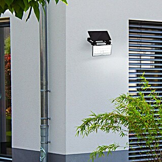 Brilliant LED-Solar-Außenwandleuchte Luton (Bewegungsmelder, 6 W, Kunststoff, Neutralweiß, Schwarz)