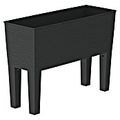 Hochbeet Aurora (Anthrazit, L x B x H: 80 x 30 x 58 cm, Kunststoff) | BAUHAUS