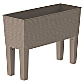 Hochbeet Aurora (Mocca, L x B x H: 80 x 30 x 58 cm, Kunststoff) | BAUHAUS