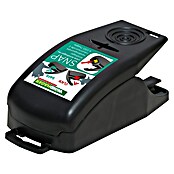 Windhager Mausefalle Snap (Spezialfalle, Kunststoff, 1 Stk.)