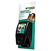 Windhager Mausefalle Snap (Spezialfalle, Kunststoff, 1 Stk.)