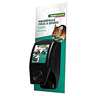 Windhager Mausefalle Snap (Spezialfalle, Kunststoff, 1 Stk.)
