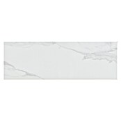 Stenska ploščica Portofino Brillo  (90 x 30 cm, Belo siva, Sijaj) | 4273 - Natursteinoptik | EAFC - Wandfliesen | EAF - Fliesen | EA - Fliesen | E - Fliesen | BAUHAUS