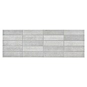 Zidna pločica RLV.Brienz Ceniza  (60 x 20 cm, Siva, Mat) | BAUHAUS