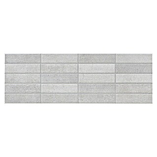 Stenska ploščica RLV.Brienz Ceniza (60 x 20 cm, Pepelnato siva, Mat)