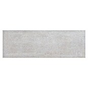 Zidna pločica Brienz Ceniza  (60 x 20 cm, Siva, Mat) | BAUHAUS