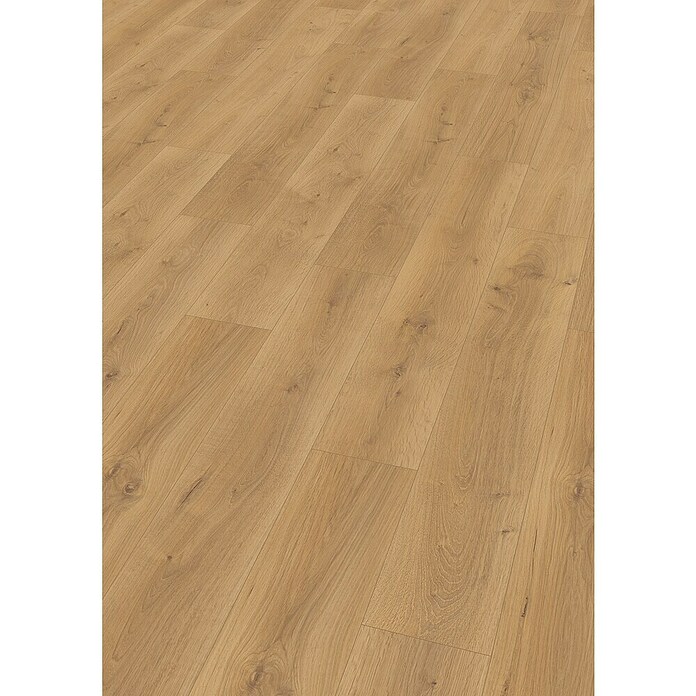 Egger Laminat NatureSense Aqua Pinot medeni hrast EL2114  (1.292 x 193 x 8 mm, Rustikalen videz, AC5) | Laminat | Talne obloge | Izdelki | BAUHAUS