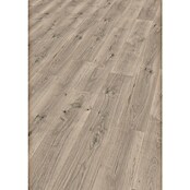 Egger Laminat NatureSense Aqua Pinot svijetlo sivi hrast EL2112  (1.292 x 193 x 8 mm, Rustikalni pod, Siva) | BAUHAUS