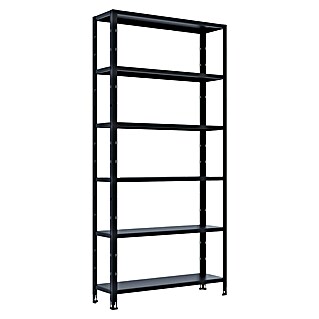 Metallregal (H x B x T: 209 x 100 x 30 cm, Traglast pro Boden: 60 kg, Anzahl Böden: 5 Stk., Stecken, Schwarz)