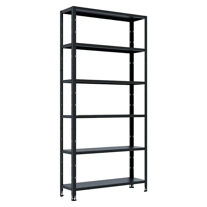 Metallregal - H x B x T: 209 x 100 x 30 cm, Traglast pro Boden: 60 kg, Anzahl Böden: 5 Stk., Stecken, Schwarz - Abbildung eines leeren, robusten Metallregals mit fünf Ebenen, ideal für Lagerung und Organisation in Werkstätten oder Garagen.