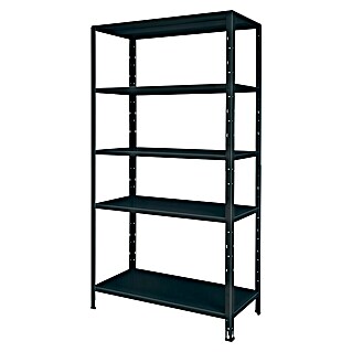 Metallregal (H x B x T: 188 x 100 x 45 cm, Traglast pro Boden: 65 kg, Anzahl Böden: 5 Stk., Stecken, Schwarz)